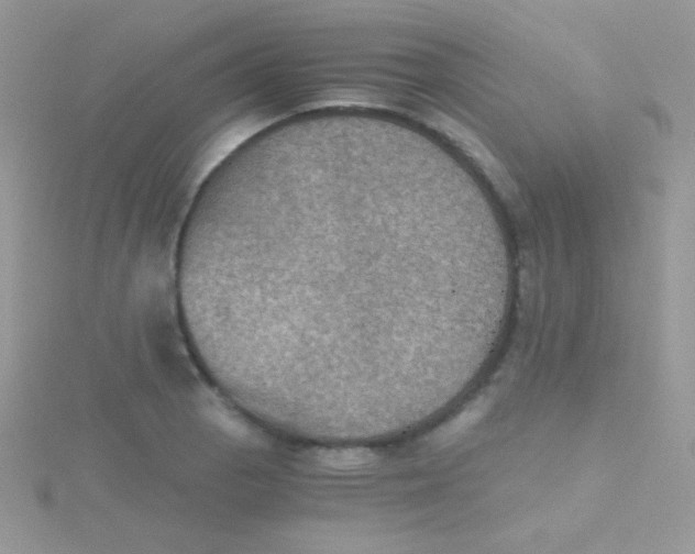 X0000115411129200911241322