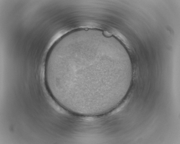 X0000115411130200911241322