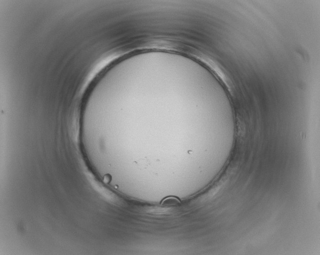 X0000115411131200911241322