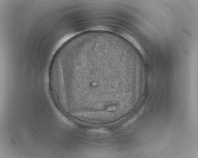 X0000115411133200911241322