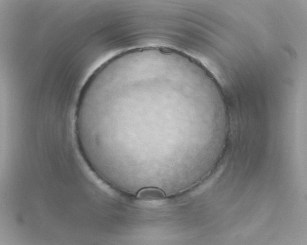 X0000115411134200911241322