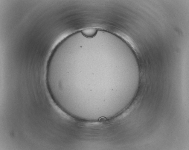 X0000115411135200911241322