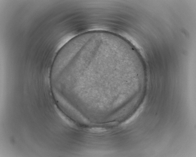 X0000115411137200911241322