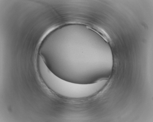 X0000115411138200911241322