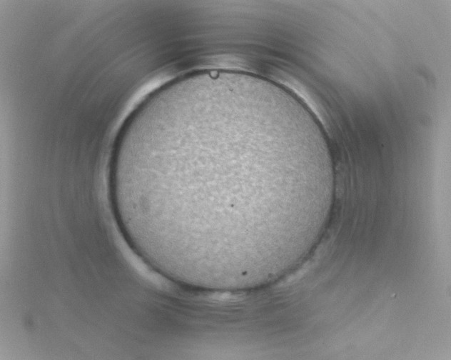 X0000115411139200911241322