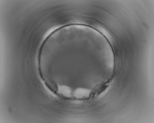 X0000115411141200911241322