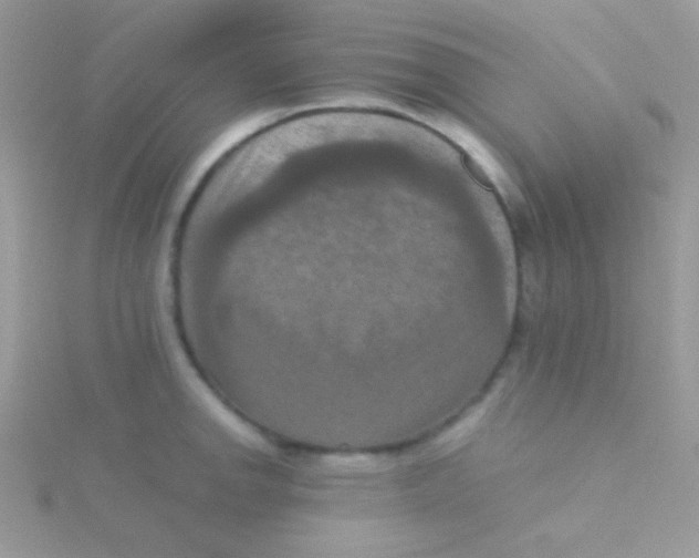 X0000115411142200911241322