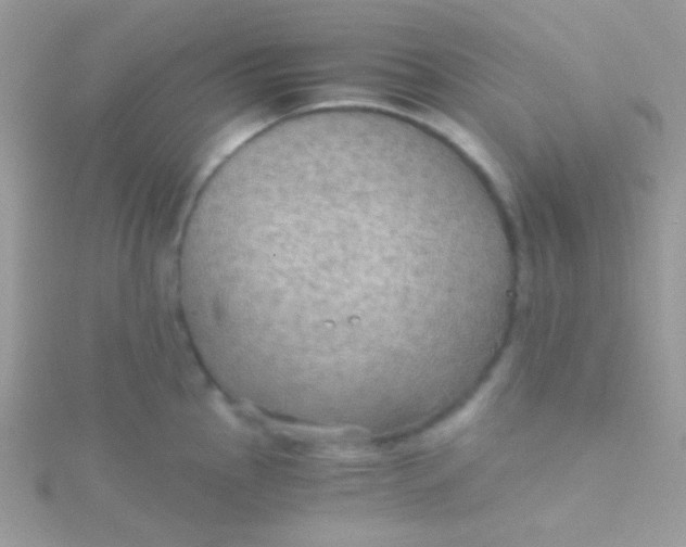 X0000115411145200911241322