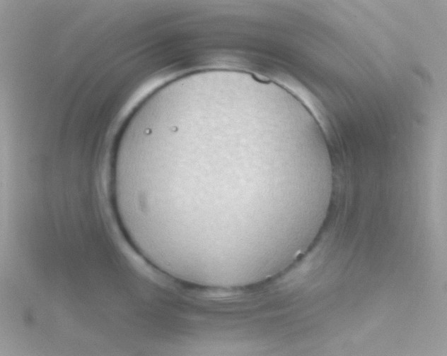 X0000115411147200911241322