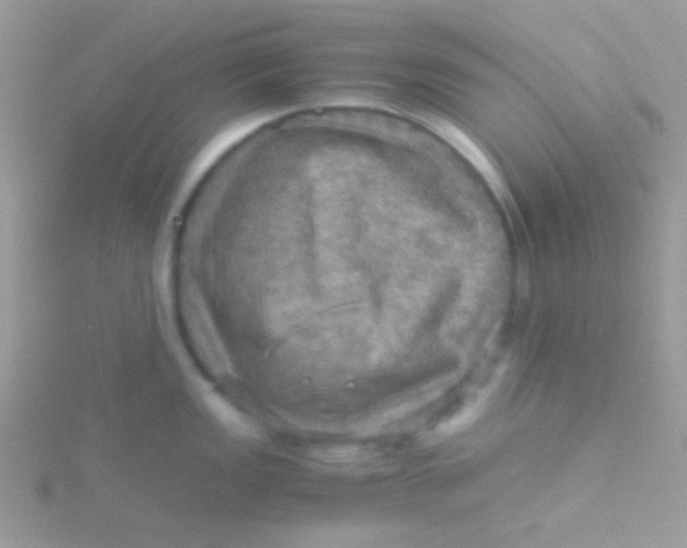 X0000115411149200911241322