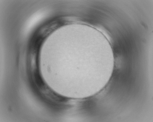 X0000115411150200911241322