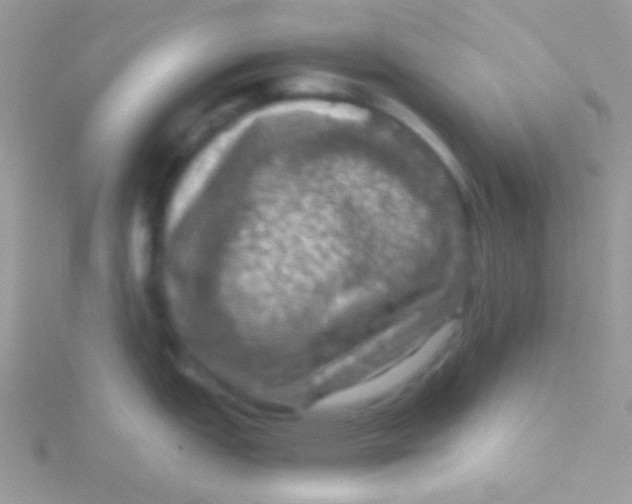 X0000115411151200911241322