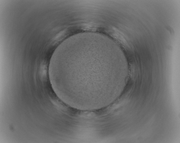 X0000115411154200911241322