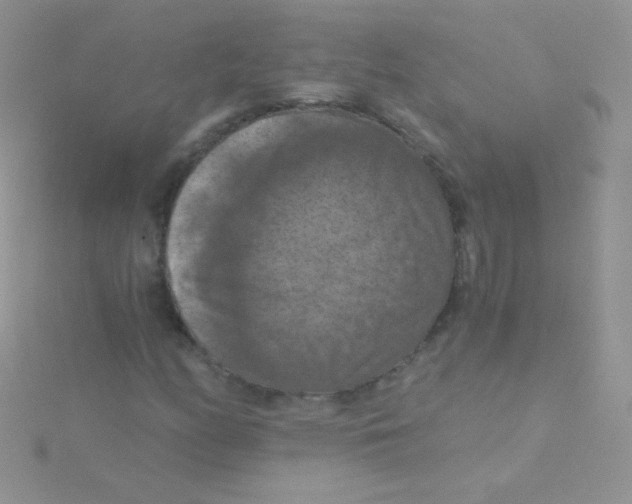 X0000115411158200911241322