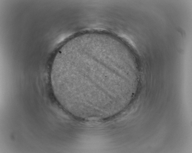 X0000115411159200911241322