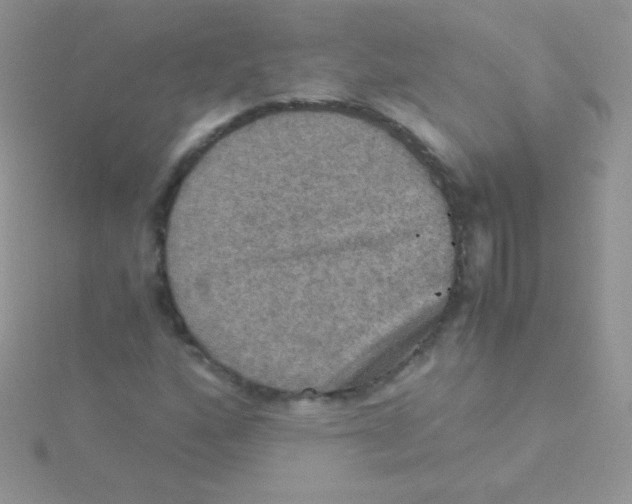 X0000115411160200911241322