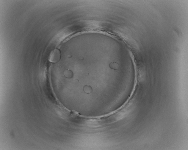 X0000115411161200911241322