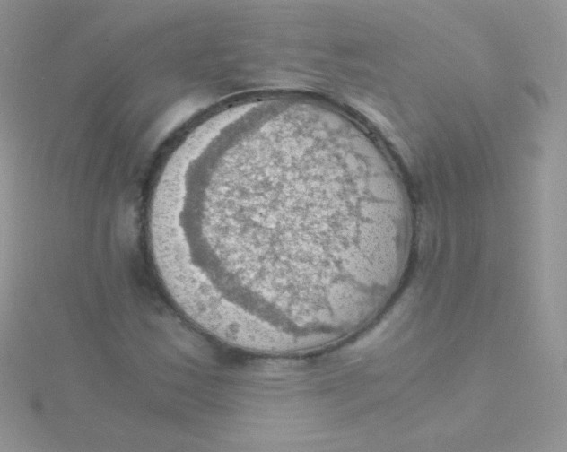 X0000115411163200911241322