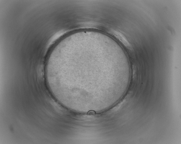 X0000115411164200911241322