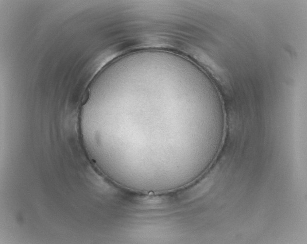 X0000115411177200911241321
