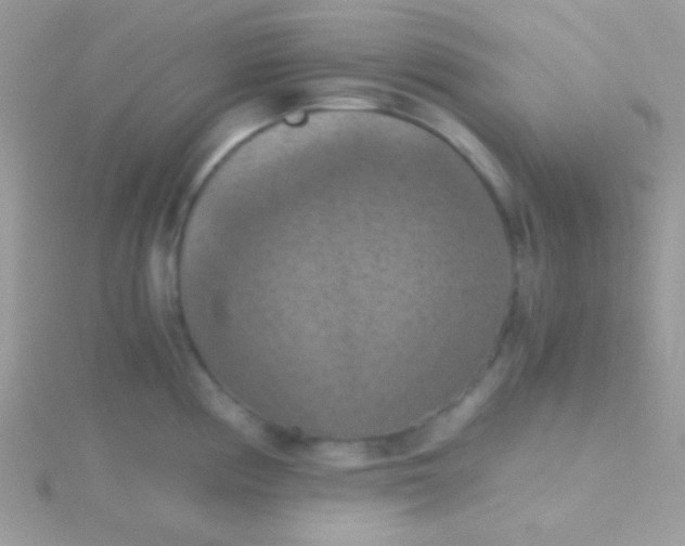 X0000115411194200911241321