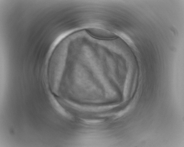 X0000115411200200911241321