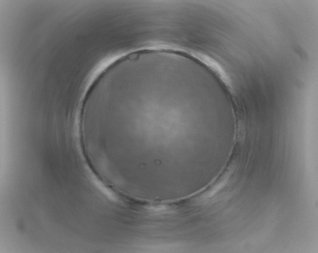 X0000115411231200911241321