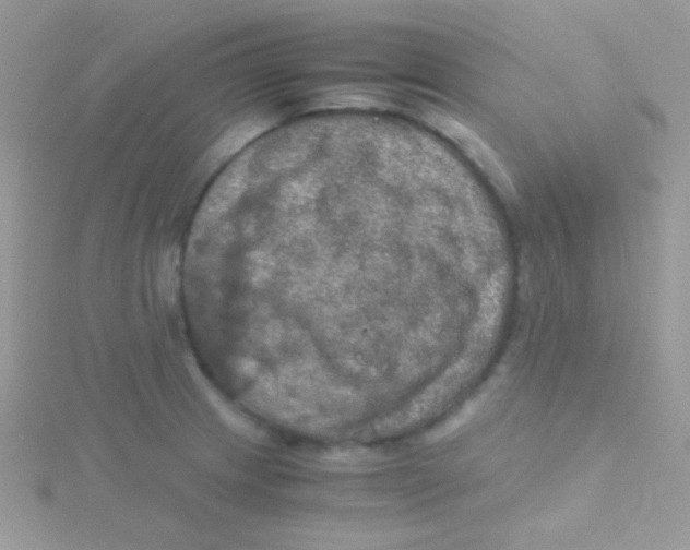 X0000115411233200911241321