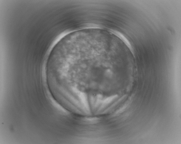X0000115411243200911241321