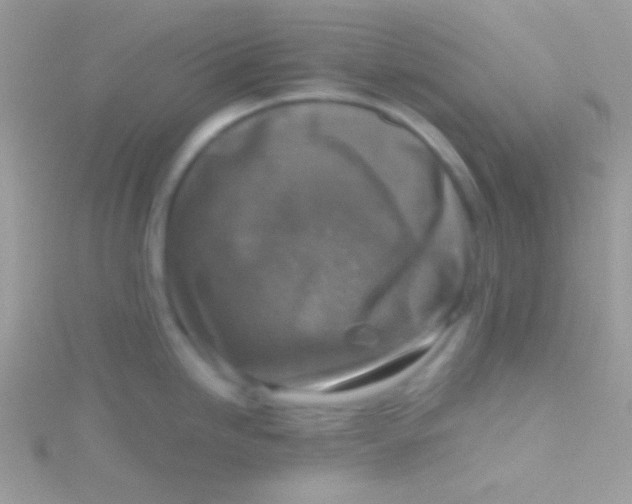 X0000115411246200911241321