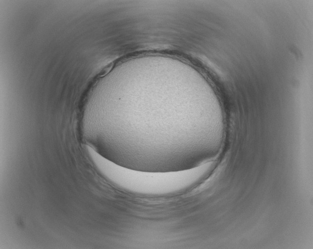 X0000115411257200911241320