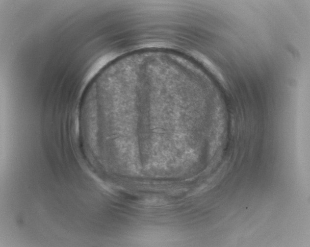 X0000115411274200911241320
