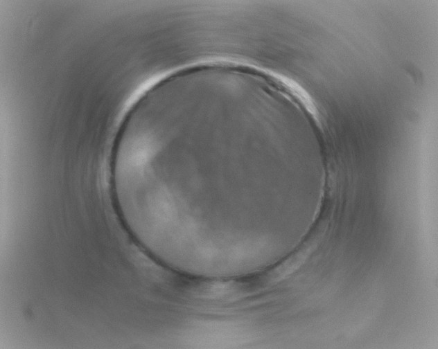 X0000115411279200911241320