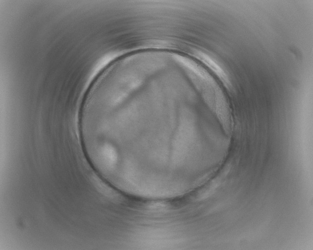 X0000115411283200911241320