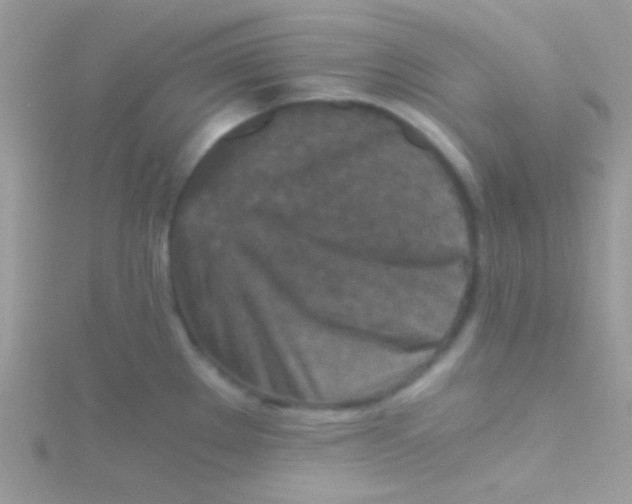 X0000115411289200911241320