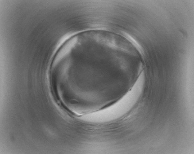 X0000115411291200911241320