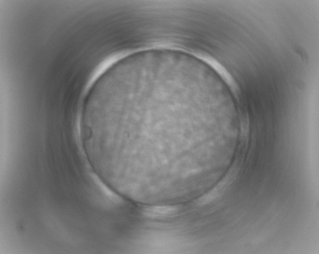 X0000115411294200911241320