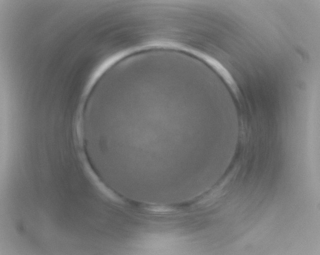 X0000115411295200911241320