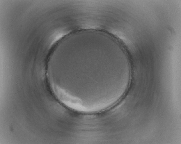 X0000115411306200911241319