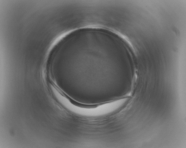 X0000115411319200911241319