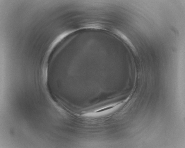 X0000115411323200911241319