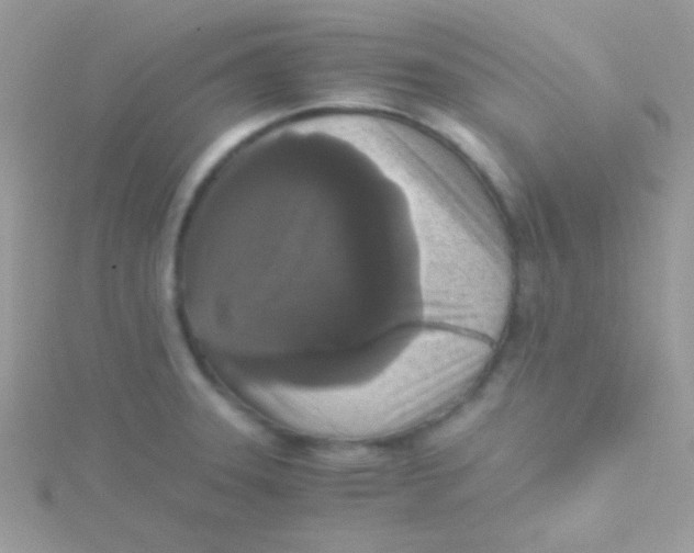 X0000115411331200911241319