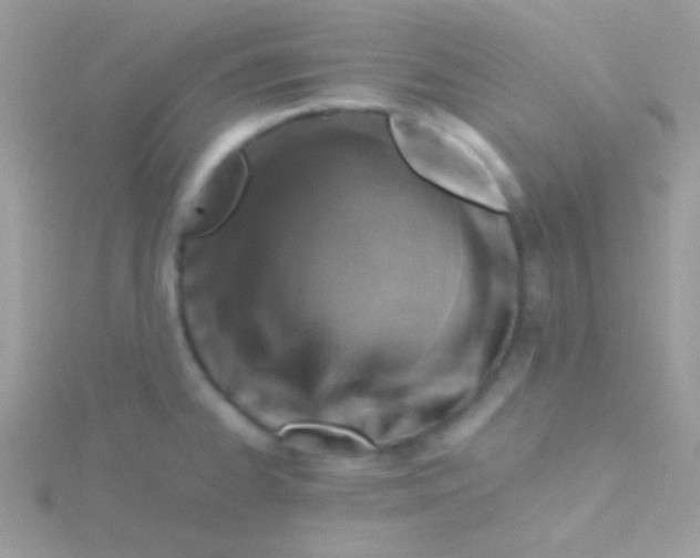 X0000115411334200911241320