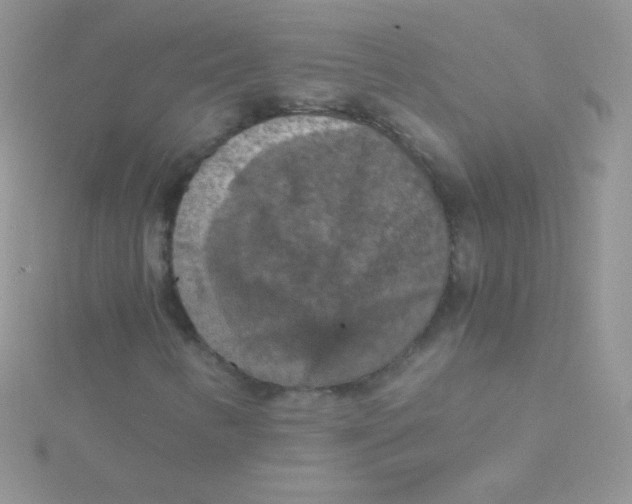 X0000115411346200911241319