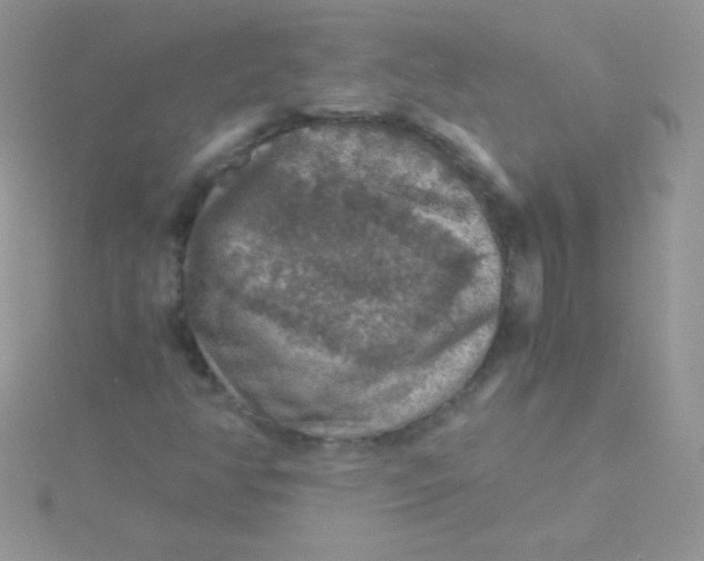 X0000115411350200911241319