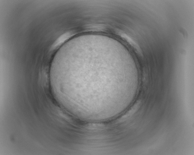 X0000115411354200911241319