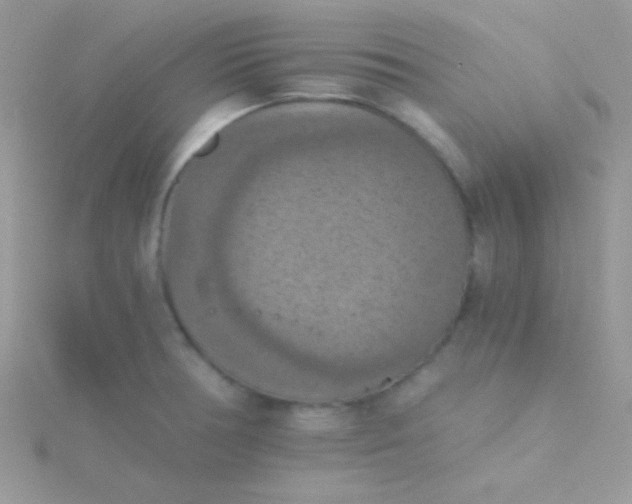 X0000115411378200911241318