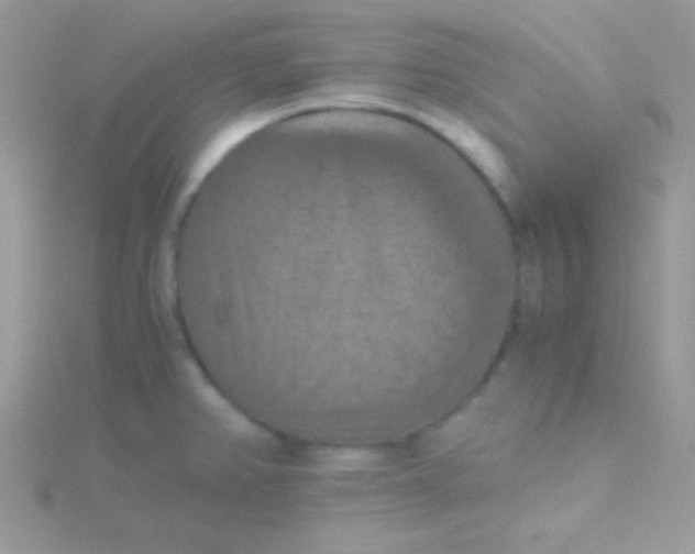 X0000115411382200911241318