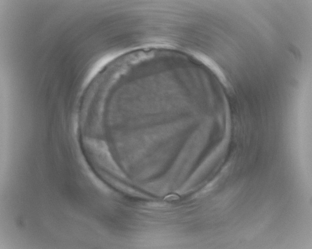 X0000115411383200911241318