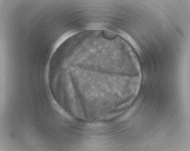 X0000115411386200911241318